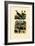 Scorpions, 1833-39-null-Framed Giclee Print