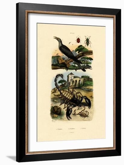 Scorpions, 1833-39-null-Framed Giclee Print