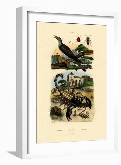 Scorpions, 1833-39-null-Framed Giclee Print