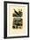 Scorpions, 1833-39-null-Framed Giclee Print