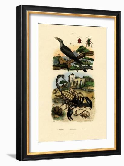Scorpions, 1833-39-null-Framed Giclee Print