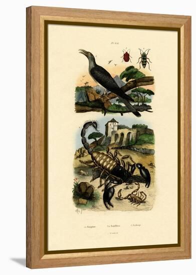 Scorpions, 1833-39-null-Framed Premier Image Canvas