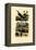 Scorpions, 1833-39-null-Framed Premier Image Canvas