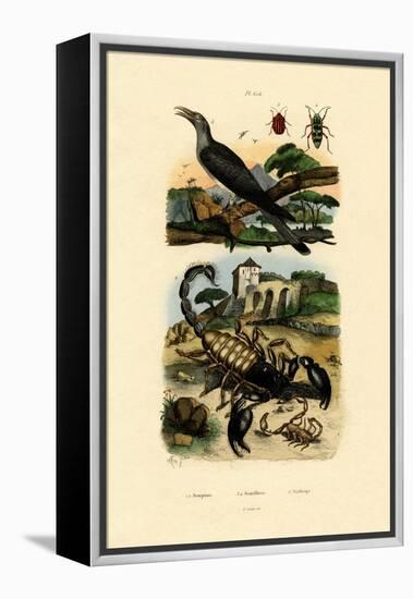 Scorpions, 1833-39-null-Framed Premier Image Canvas