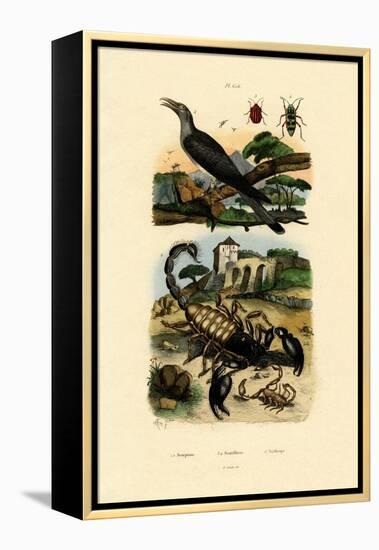 Scorpions, 1833-39-null-Framed Premier Image Canvas