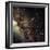 Scorpius Constellation-Eckhard Slawik-Framed Premium Photographic Print