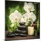 Premium Photographic Print