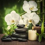 Spa Concept Zen Basalt Stones ,Orchid and Candle-scorpp-Photographic Print