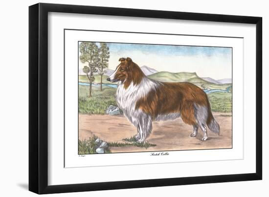Art Print, , large
