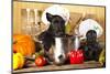 Scotch Terrier Kitchen Boy in a Saucepan, Cook Puppies-Lilun-Mounted Photographic Print