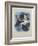 Scoters and Stellers Eider, C.1915 (W/C & Bodycolour over Pencil on Paper)-Archibald Thorburn-Framed Giclee Print