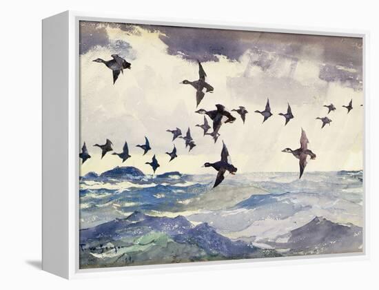 Scoters over Water, 1924 watercolor on paper-Frank Weston Benson-Framed Premier Image Canvas