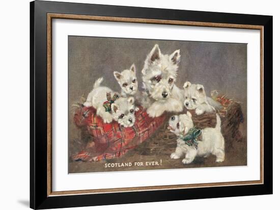 Scotland Forever, Westies-null-Framed Art Print