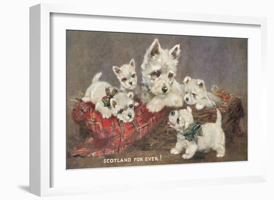 Scotland Forever, Westies-null-Framed Art Print