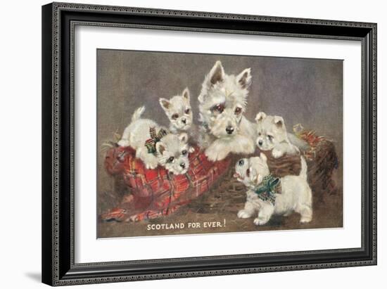 Scotland Forever, Westies-null-Framed Art Print