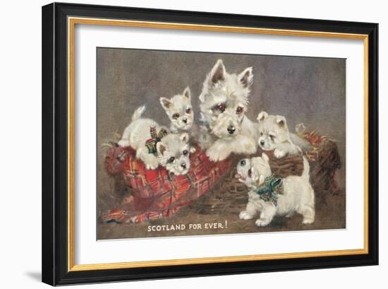 Scotland Forever, Westies-null-Framed Art Print