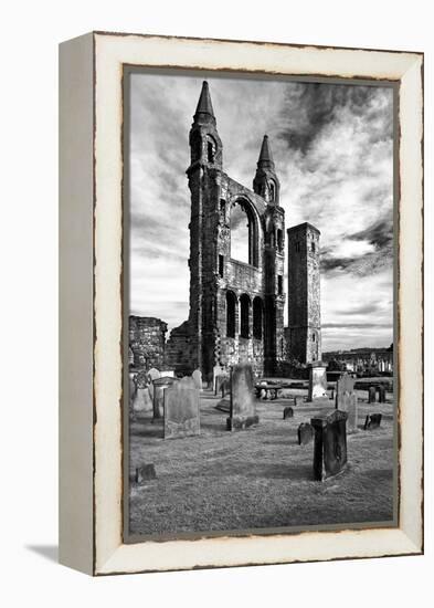 Scotland, St. Andrews, Old Cathedral, Ruin, B / W-Thomas Ebelt-Framed Premier Image Canvas