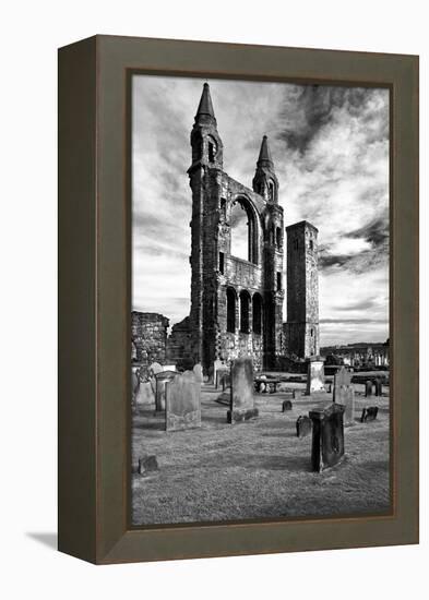 Scotland, St. Andrews, Old Cathedral, Ruin, B / W-Thomas Ebelt-Framed Premier Image Canvas