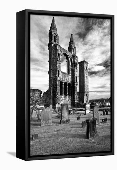 Scotland, St. Andrews, Old Cathedral, Ruin, B / W-Thomas Ebelt-Framed Premier Image Canvas