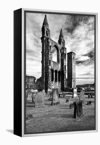 Scotland, St. Andrews, Old Cathedral, Ruin, B / W-Thomas Ebelt-Framed Premier Image Canvas