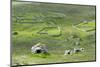 Scotland, St Kilda Archipelago, Hirta Island, Abandoned Settlement-Martin Zwick-Mounted Photographic Print