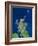 Scotland, UK, Satellite Image-PLANETOBSERVER-Framed Photographic Print