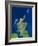 Scotland, UK, Satellite Image-PLANETOBSERVER-Framed Photographic Print