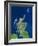 Scotland, UK, Satellite Image-PLANETOBSERVER-Framed Photographic Print