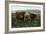 Scotland - View of Highland Cattle-Lantern Press-Framed Art Print