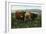 Scotland - View of Highland Cattle-Lantern Press-Framed Art Print