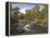 Scots Pine Forest and Lui Water, Deeside, Cairngorms National Park, Aberdeenshire, Scotland, UK-Gary Cook-Framed Premier Image Canvas