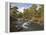 Scots Pine Forest and Lui Water, Deeside, Cairngorms National Park, Aberdeenshire, Scotland, UK-Gary Cook-Framed Premier Image Canvas