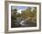 Scots Pine Forest and Lui Water, Deeside, Cairngorms National Park, Aberdeenshire, Scotland, UK-Gary Cook-Framed Photographic Print