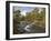 Scots Pine Forest and Lui Water, Deeside, Cairngorms National Park, Aberdeenshire, Scotland, UK-Gary Cook-Framed Photographic Print