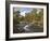 Scots Pine Forest and Lui Water, Deeside, Cairngorms National Park, Aberdeenshire, Scotland, UK-Gary Cook-Framed Photographic Print