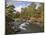 Scots Pine Forest and Lui Water, Deeside, Cairngorms National Park, Aberdeenshire, Scotland, UK-Gary Cook-Mounted Photographic Print