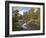 Scots Pine Forest and Lui Water, Deeside, Cairngorms National Park, Aberdeenshire, Scotland, UK-Gary Cook-Framed Photographic Print