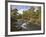 Scots Pine Forest and Lui Water, Deeside, Cairngorms National Park, Aberdeenshire, Scotland, UK-Gary Cook-Framed Photographic Print