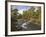 Scots Pine Forest and Lui Water, Deeside, Cairngorms National Park, Aberdeenshire, Scotland, UK-Gary Cook-Framed Photographic Print