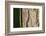 Scots pine, Pinus sylvestris, bark, detail-David & Micha Sheldon-Framed Photographic Print