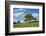 Scots pine, Pinus sylvestris, tree-David & Micha Sheldon-Framed Photographic Print