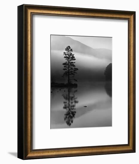 Scots Pine Tree Reflected in Lake at Dawn, Loch an Eilean, Scotland, UK-Pete Cairns-Framed Premium Photographic Print