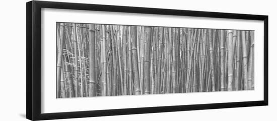 Photo, , large