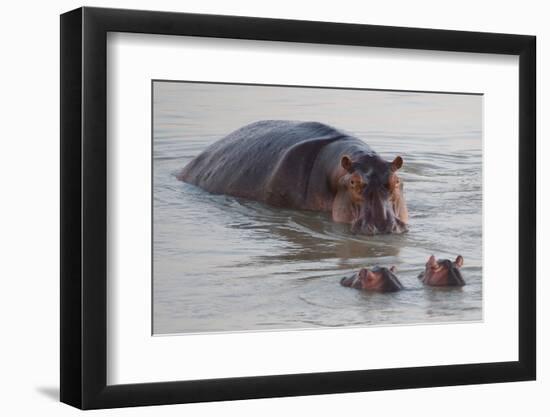 Photo, , large