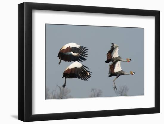 Photo, , large