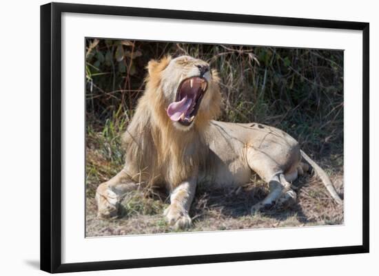 Photo, , large