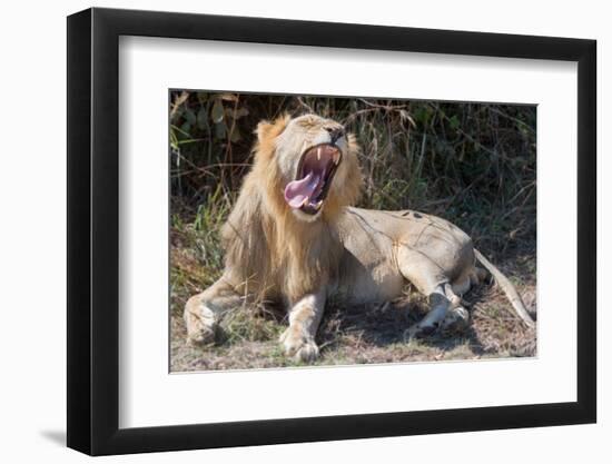 Photo, , large