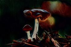Mushrooms, 2021, (digital)-Scott J. Davis-Giclee Print