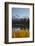 Scott Lake with Sister Mts, Willamette National Forest Oregon, USA-Jamie & Judy Wild-Framed Photographic Print