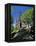 Scott Monument, Edinburgh, Lothian, Scotland, United Kingdom-Peter Scholey-Framed Premier Image Canvas